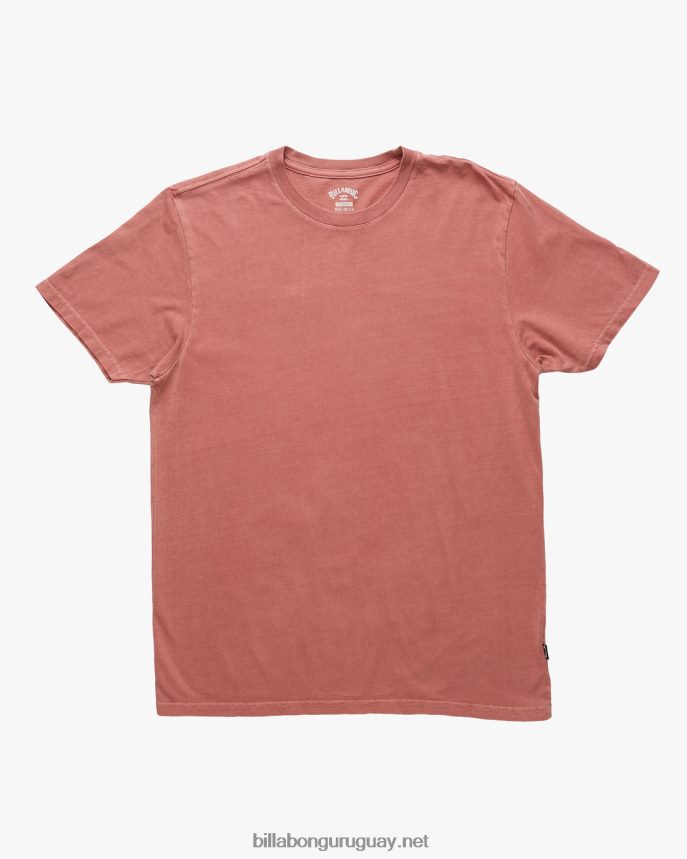 playera de manga corta con lavado Essential Wave hombres rosa descolorida DR6844441 Billabong