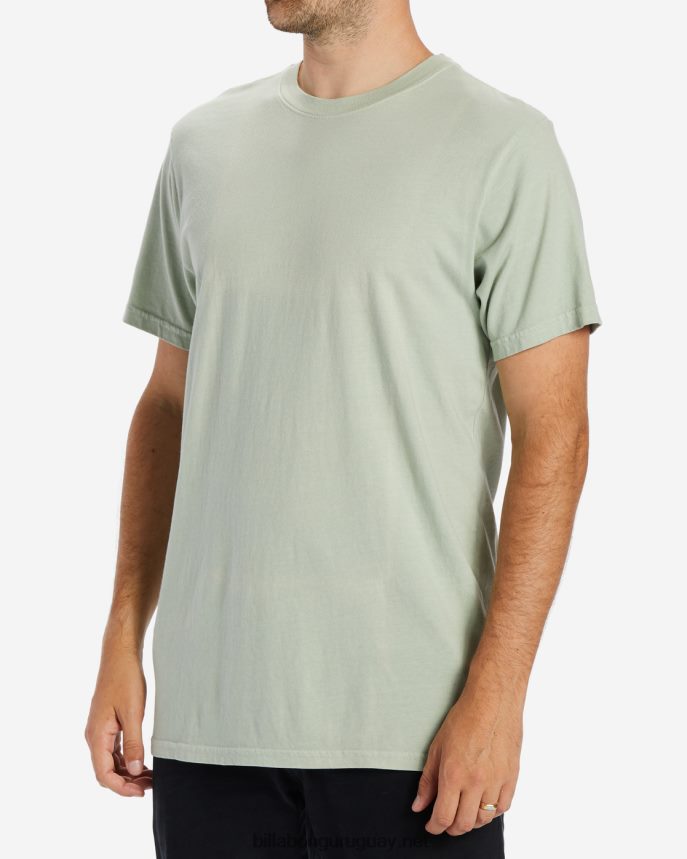 playera de manga corta con lavado ondulado hombres salvia ligera DR6844269 Billabong