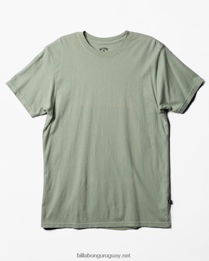 playera de manga corta con lavado ondulado hombres salvia ligera DR6844269 Billabong