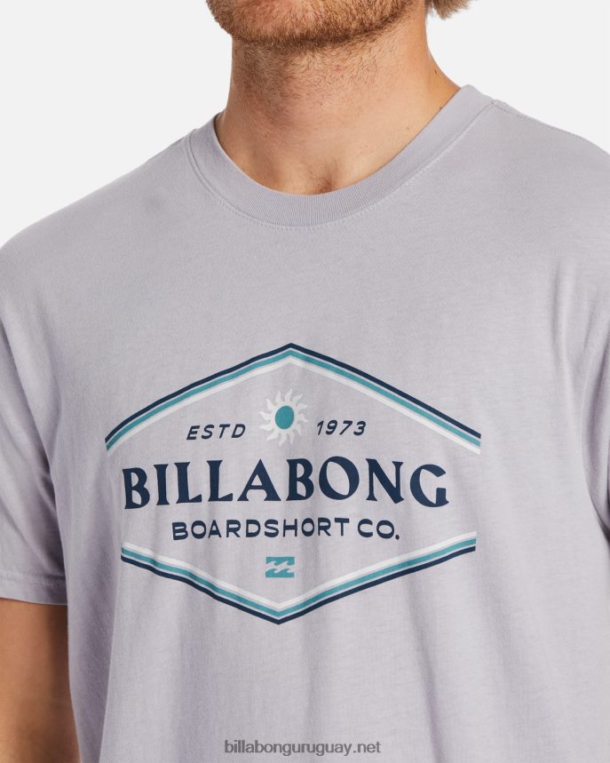 playera de manga corta con paredes hombres gris violeta DR6844528 Billabong