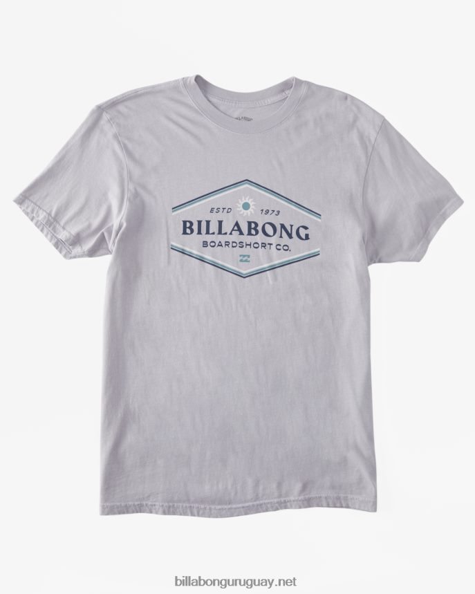 playera de manga corta con paredes hombres gris violeta DR6844528 Billabong