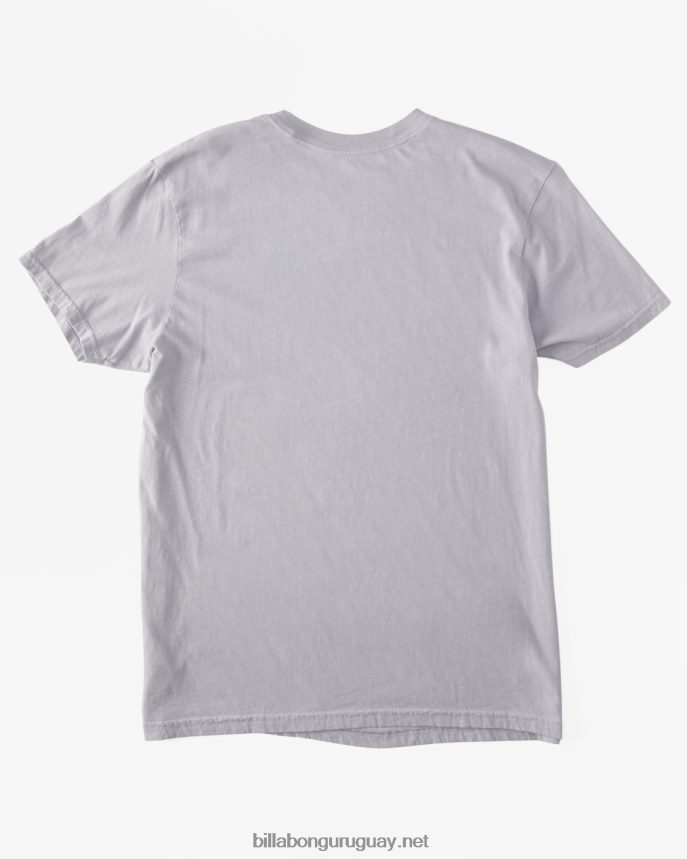 playera de manga corta con paredes hombres gris violeta DR6844528 Billabong