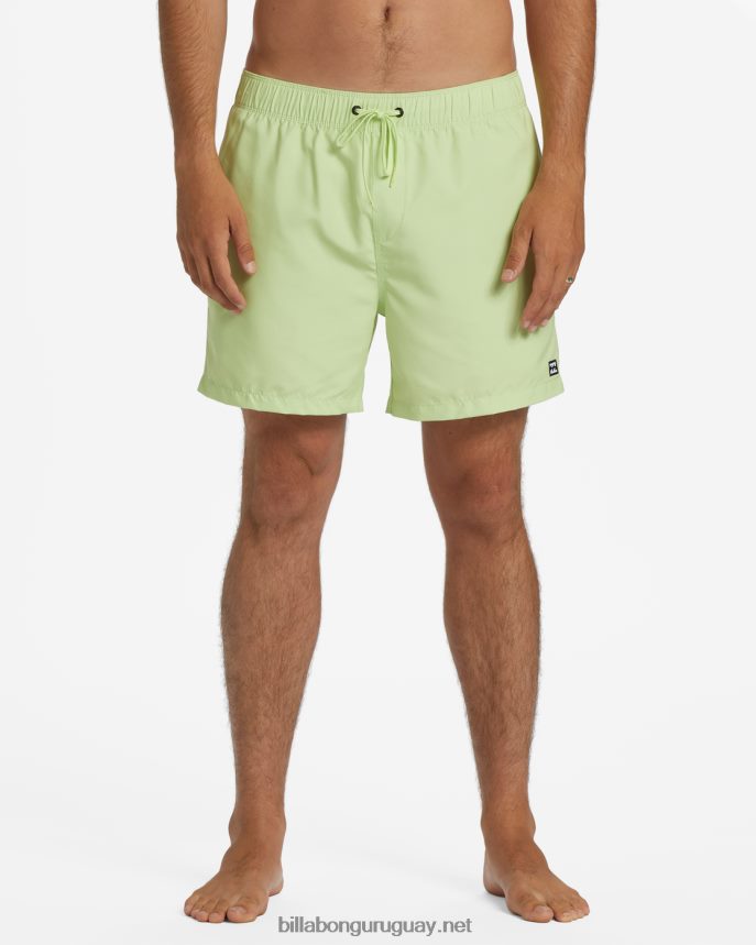 shorts de playa de 16\'\' para todo el día hombres agrios DR684485 Billabong