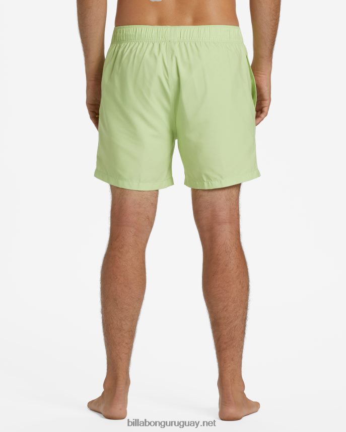 shorts de playa de 16\'\' para todo el día hombres agrios DR684485 Billabong
