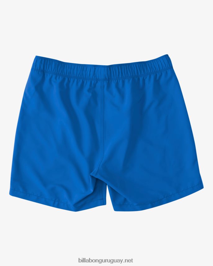 shorts de playa de 16\'\' para todo el día hombres cobalto DR684443 Billabong