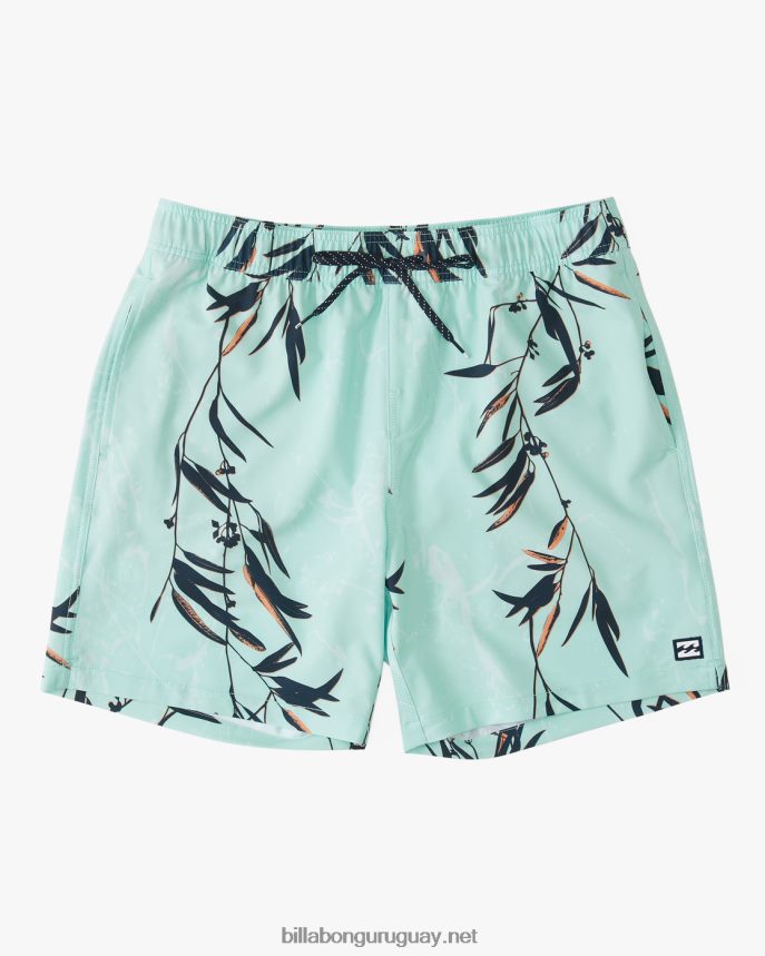 shorts de playa sundays layback 17'' hombres menta DR6844186 Billabong
