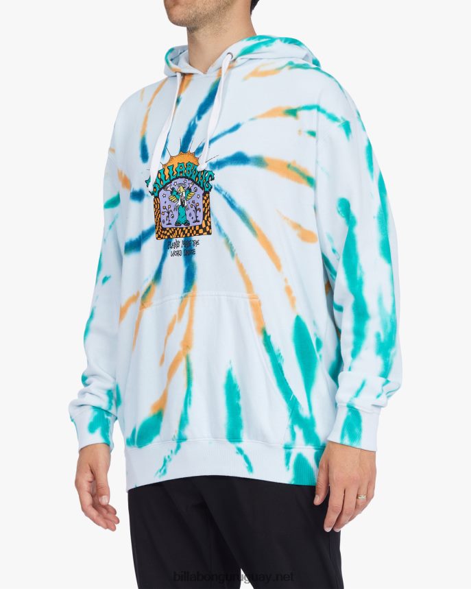 plantas bailan organico sudadera con capucha hombres multi DR6844518 Billabong