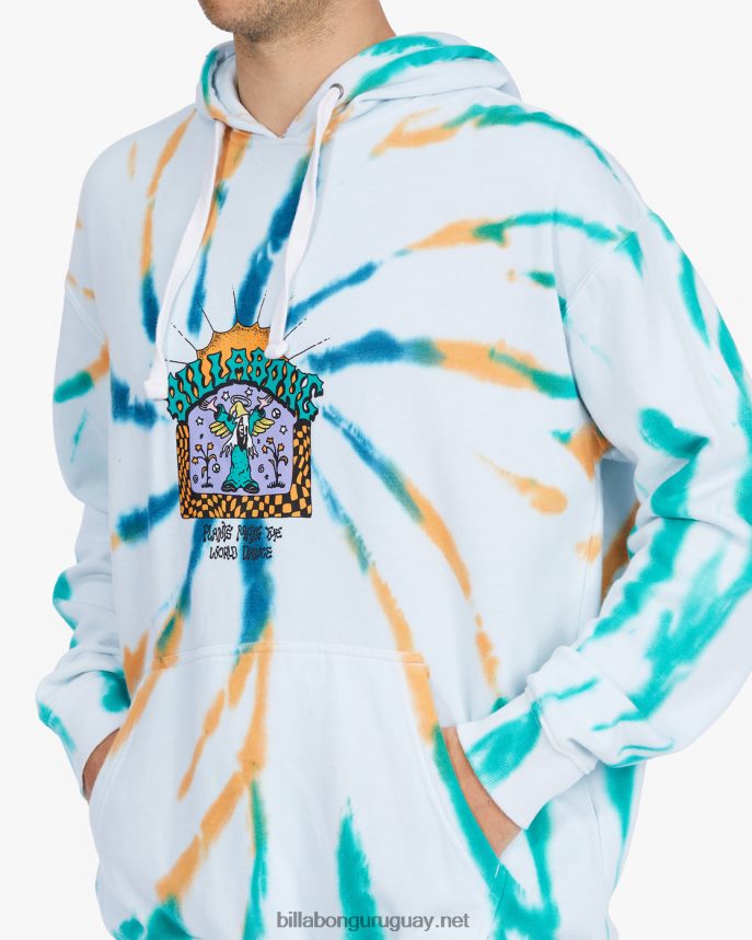 plantas bailan organico sudadera con capucha hombres multi DR6844518 Billabong