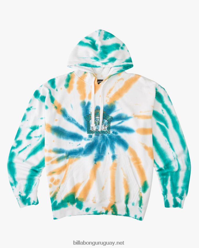 plantas bailan organico sudadera con capucha hombres multi DR6844518 Billabong