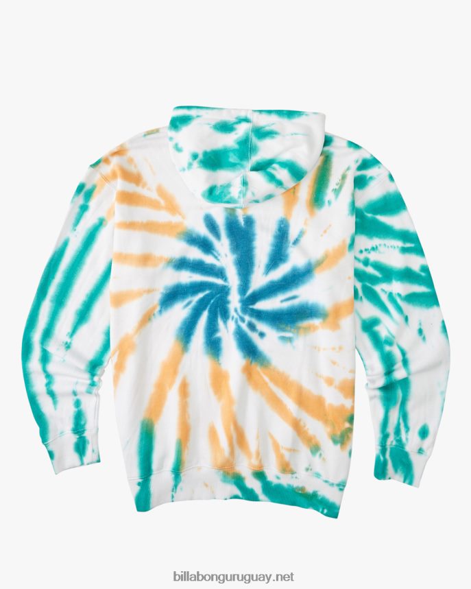 plantas bailan organico sudadera con capucha hombres multi DR6844518 Billabong