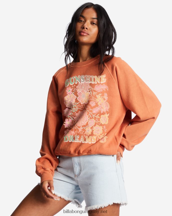 aquí vamos sudadera gráfica con cuello redondo mujer ladrillo DR68442188 Billabong