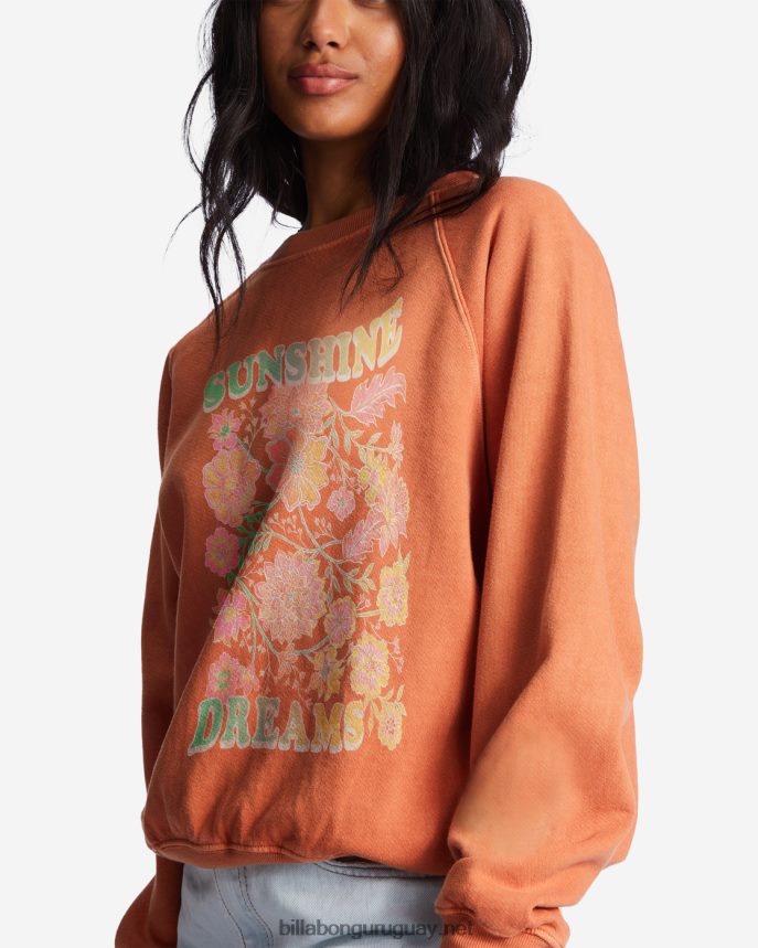 aquí vamos sudadera gráfica con cuello redondo mujer ladrillo DR68442188 Billabong