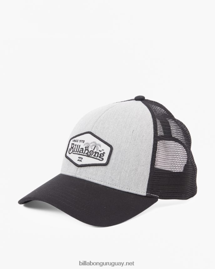 sombrero de camionero con paredes Niños Gris oscuro DR6844968 Billabong