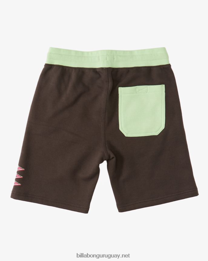 shorts elásticos unidos Niños cuervo DR68441021 Billabong