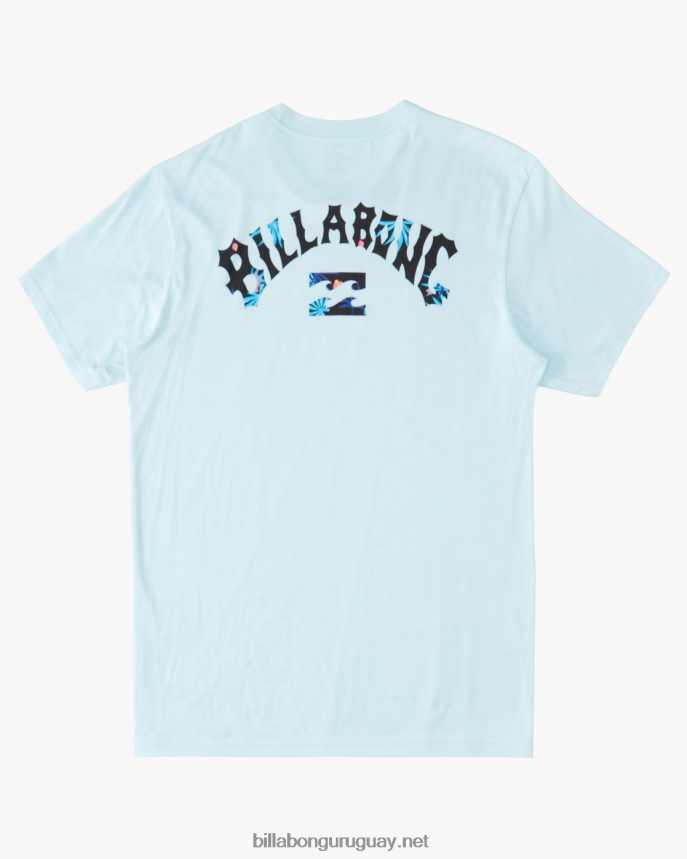 (2-7) camiseta con relleno de arco Niños costero DR68441019 Billabong
