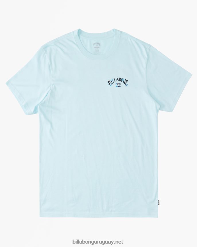 (2-7) camiseta con relleno de arco Niños costero DR68441019 Billabong