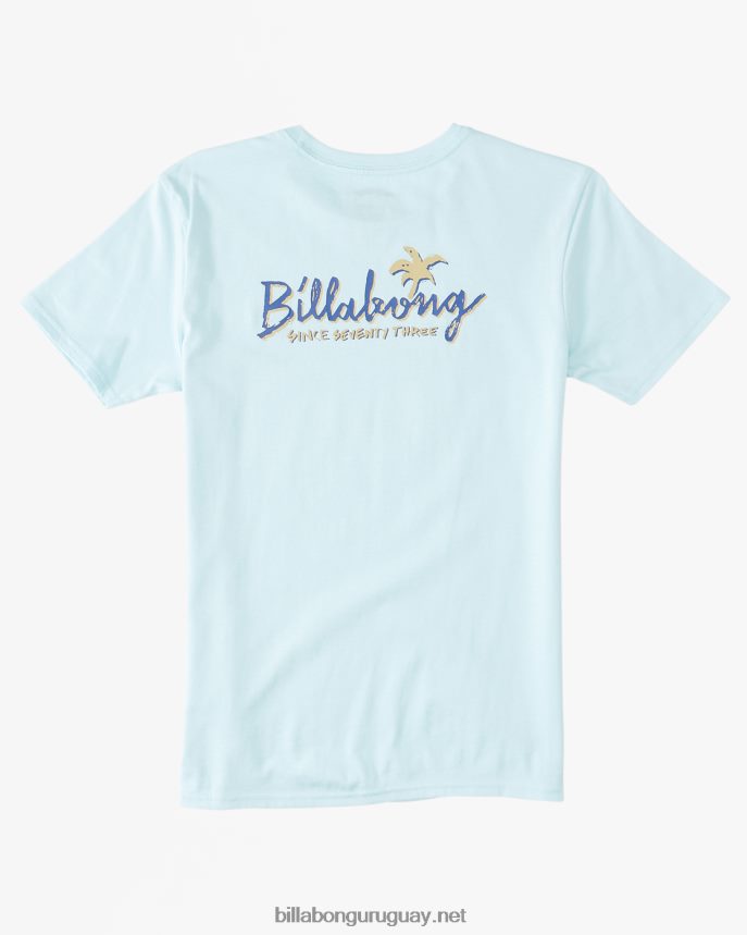 (2-7) camiseta salón Niños costero DR68441083 Billabong