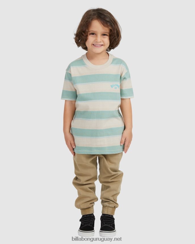 (2-7) groms hector camiseta de manga corta Niños chino DR68441062 Billabong