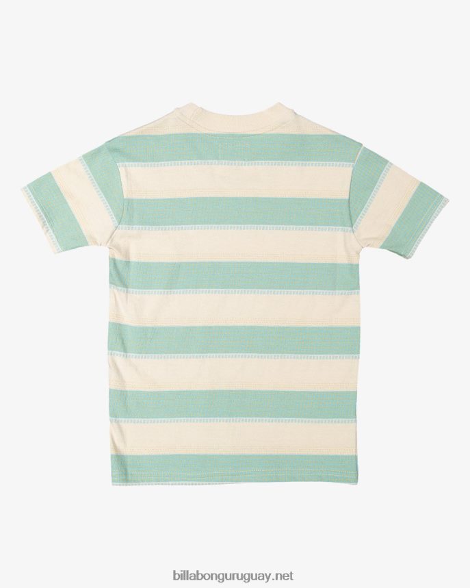 (2-7) groms hector camiseta de manga corta Niños chino DR68441062 Billabong