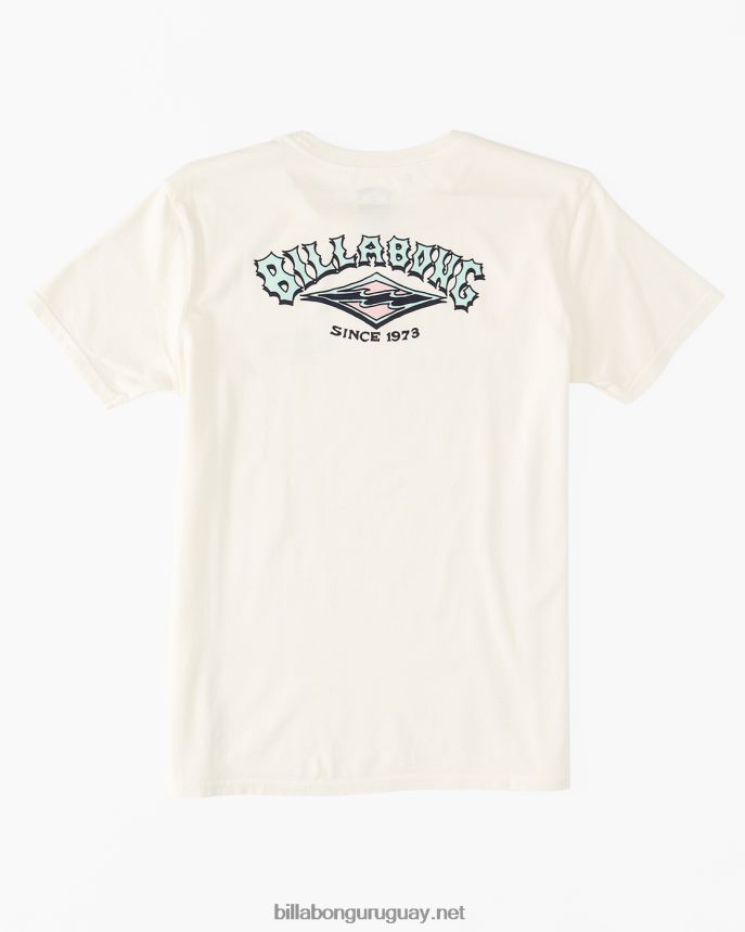 camiseta archwave Niños blanquecino DR68441041 Billabong