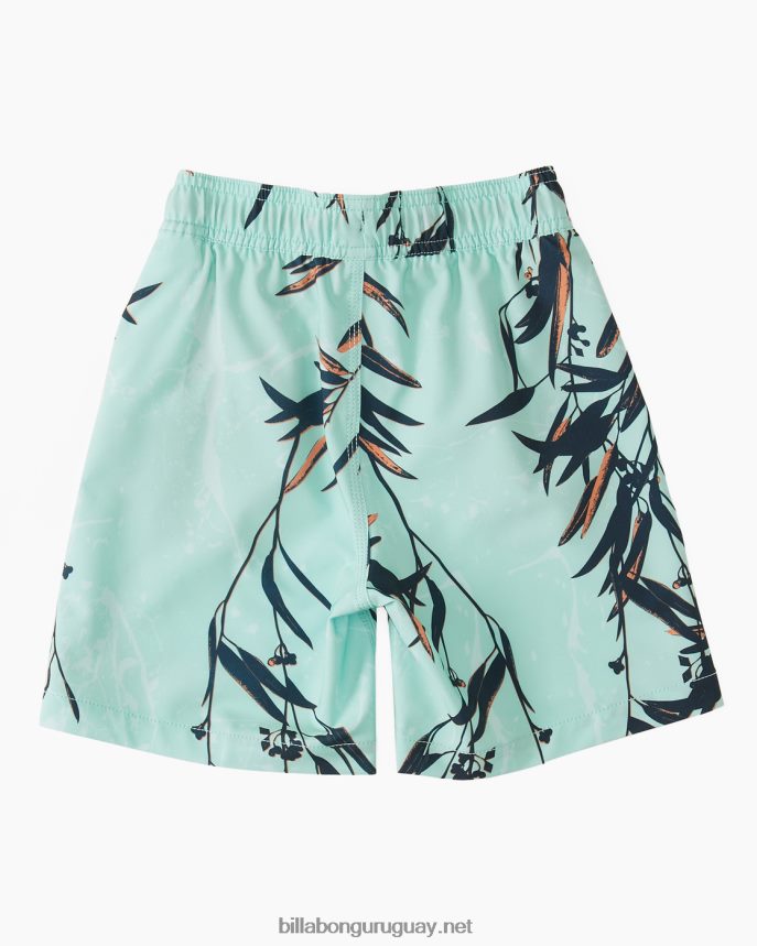 2-7 domingos layback 13\'\' boardshorts Niños menta DR6844160 Billabong