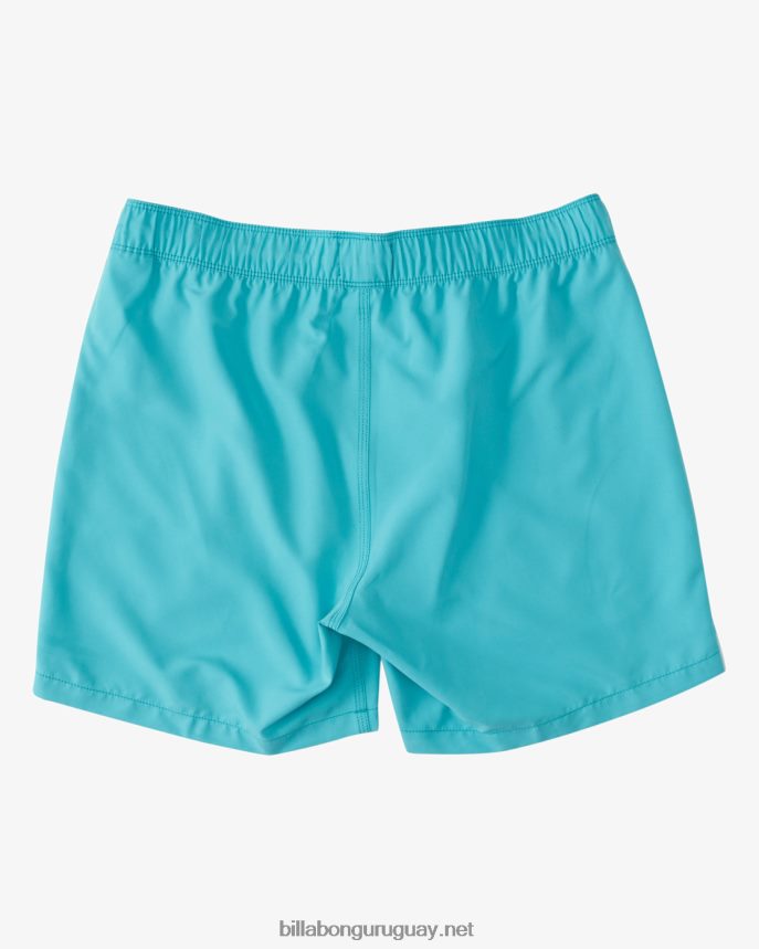 shorts de playa para todo el día Niños menta oscura DR684444 Billabong