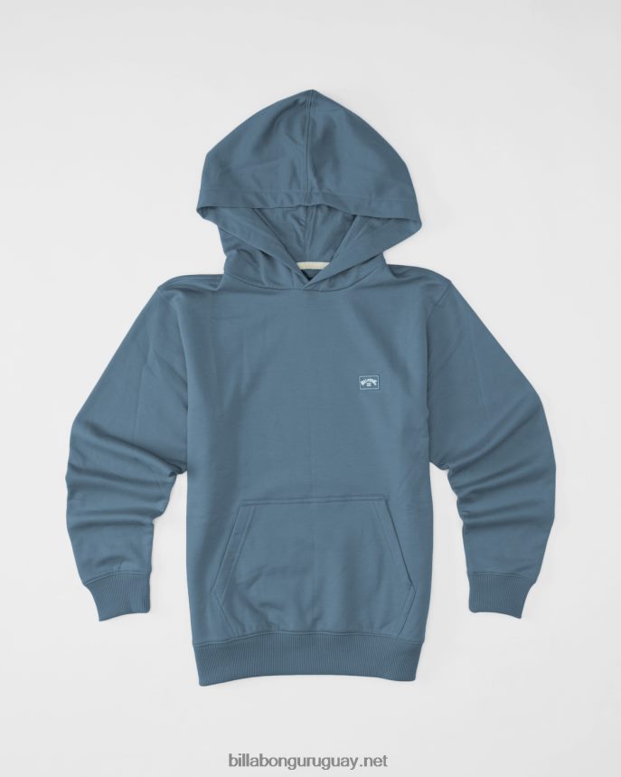 sudadera con capucha orgánica todo el día Niños humo azul DR68441076 Billabong