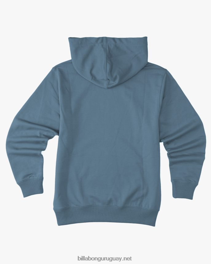 sudadera con capucha orgánica todo el día Niños humo azul DR68441076 Billabong