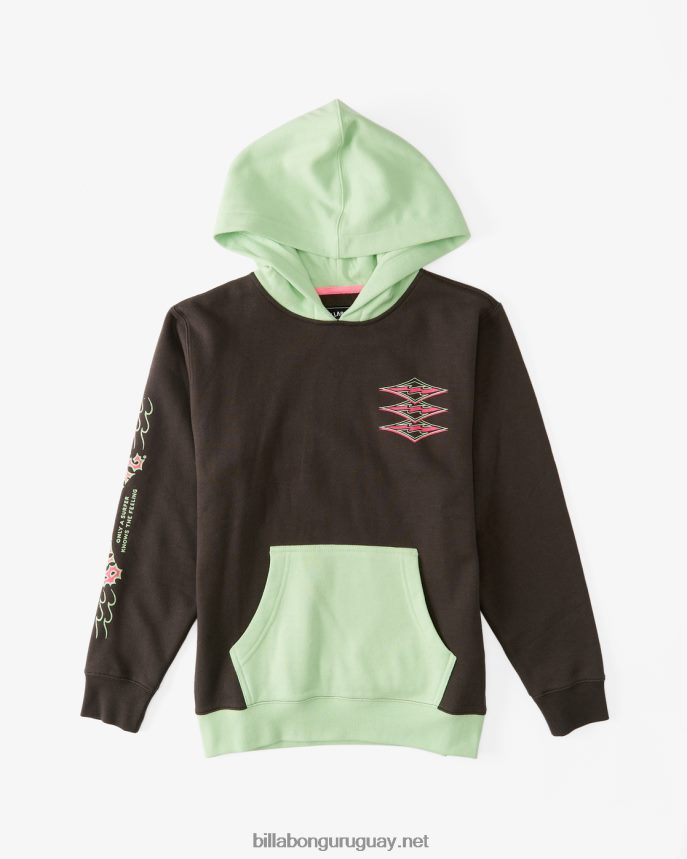 unido sudadera con capucha Niños cuervo DR6844997 Billabong